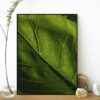 Quadro - Fábio Motta - Veg - Image 4