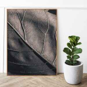 Quadro - Fábio Motta - Veg PB