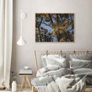 Quadro - Christoph Burgard - Essência