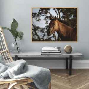 Quadro - Christoph Burgard - Jeronimo II