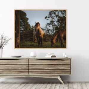 Quadro - Christoph Burgard - Jeronimo III
