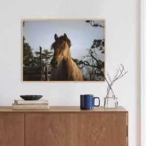 Quadro - Christoph Burgard - Jeronimo IV