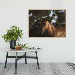 Quadro - Christoph Burgard - Jeronimo