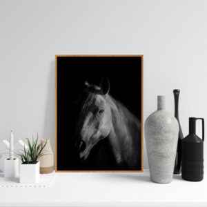 Quadro - Christoph Burgard - Jeronimo V