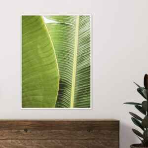 Quadro - Christoph Burgard - Leaf