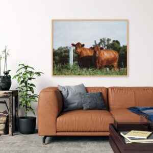 Quadro - Christoph Burgard - Red Angus II
