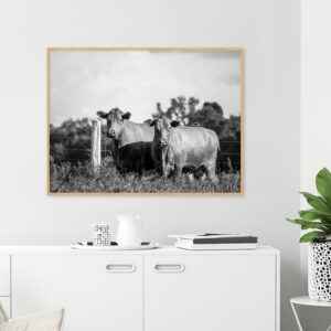 Quadro - Christoph Burgard - Red Angus II PB