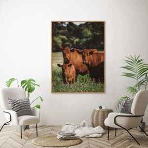 Quadro - Christoph Burgard - Red Angus III