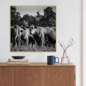 Quadro - Christoph Burgard - Red Angus PB