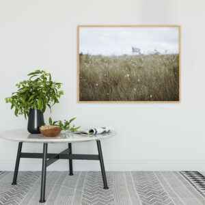 Quadro - Christoph Burgard - Savana Brasileira II