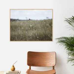 Quadro - Christoph Burgard - Savana Brasileira