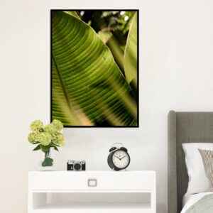 Quadro - Leonardo Krug - Folhagem Tropical 01