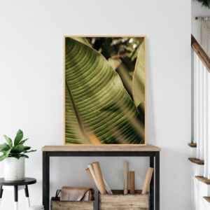Quadro - Leonardo Krug - Folhagem Tropical 02