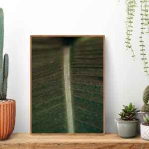 Quadro - Leonardo Krug - Gotas Na Folha