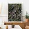 Quadro - Leonardo Krug - Lavanda - Imagem 4
