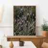 Quadro - Leonardo Krug - Lavanda - Imagem 2