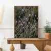 Quadro - Leonardo Krug - Lavanda - Imagem 3