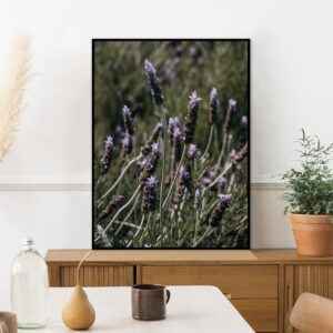 Quadro - Leonardo Krug - Lavanda