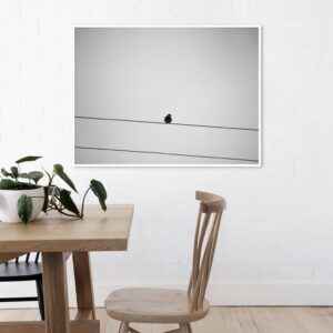 Saulo Heidemann - Lonely Bird
