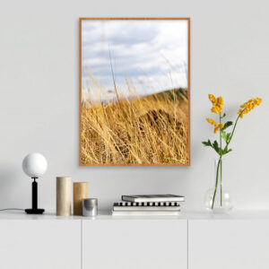 Quadro - Alexandre Salve - Capim Do Campo 1