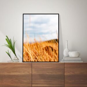 Quadro - Alexandre Salve - Capim Do Campo 2B