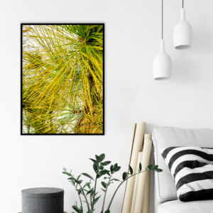 Quadro - Alexandre Salve - De Pinheiro 3