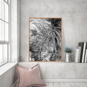 Quadro - Alexandre Salve - De Pinheiro 3 PB2