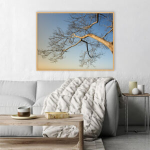 Quadro - Bassegio - AB003