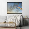 Quadro - Bassegio - AB003 - Imagem 4