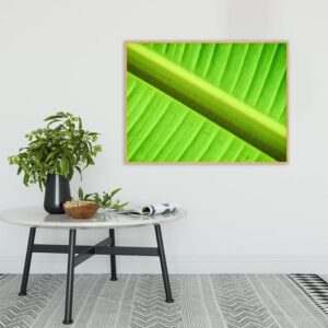 Quadro - Bassegio - AB009