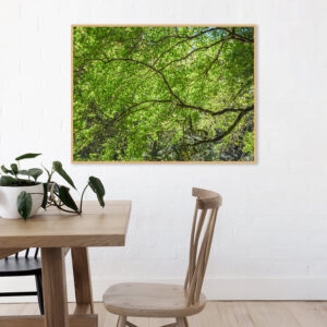 Quadro - Bassegio - AB016