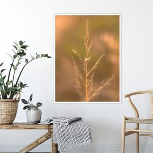 Quadro - Bassegio - AB118