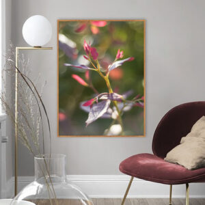Quadro - Bassegio - AB121