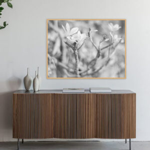 Quadro - Bassegio - AB128