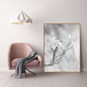 Quadro - Bassegio - AB205
