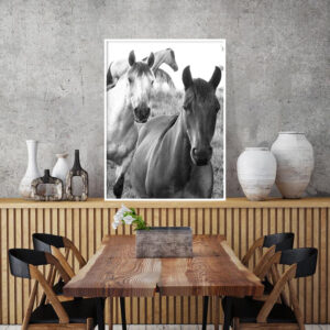 Quadro - Bassegio - AB206