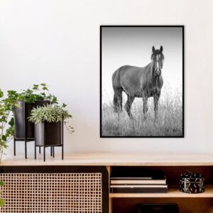 Quadro - Bassegio - AB207