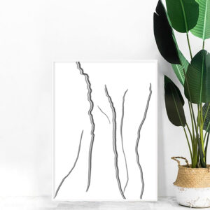 Danilo Sbindio - Pencil Lines 2