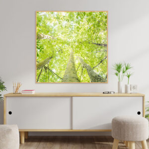 Quadro - Bassegio - AB048