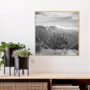 Quadro - Bassegio - AB160