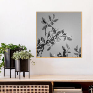 Quadro - Bassegio - AB187