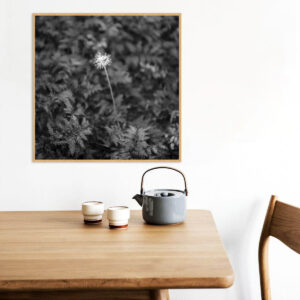 Quadro - Bassegio - AB195