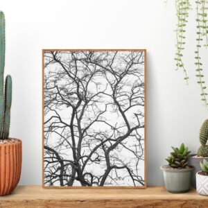 Quadro - Bassegio - AB221
