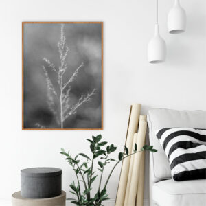 Quadro - Bassegio - AB241