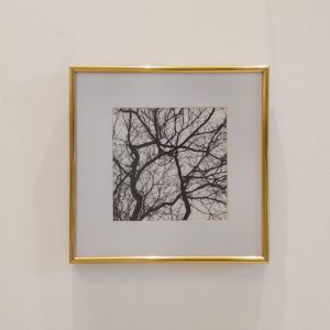 Quadro - Di Quadri - Galhos de Inverno