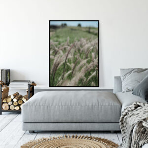Quadro - Daniel Neves - Leveza No Campo