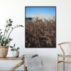 Quadro - Daniel Neves - Natureza Ao Vento - Imagem 4