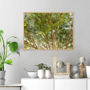 Quadro - Giba Souza - Árvores 5
