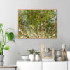 Quadro - Giba Souza - Árvores 5 - Image 2