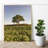 Quadro - Giba Souza - Brasil Árvore Paisagem 1 - Imagem 2